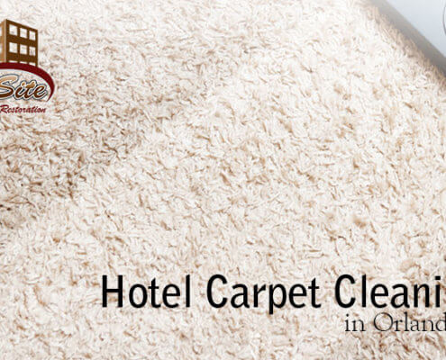 carpet-cleaning-onsite
